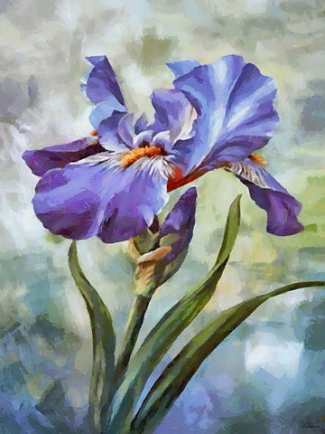 Blue Iris II Black Ornate Wood Framed Art Print with Double Matting by Medeiros, Celito