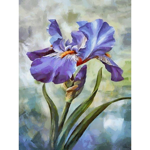 Blue Iris II Black Modern Wood Framed Art Print by Medeiros, Celito