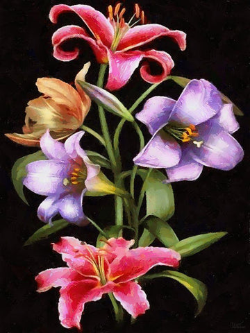 Lily White Modern Wood Framed Art Print with Double Matting by Medeiros, Celito