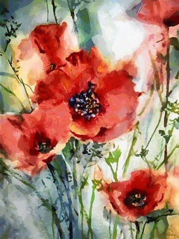 Red Poppies White Modern Wood Framed Art Print with Double Matting by Medeiros, Celito