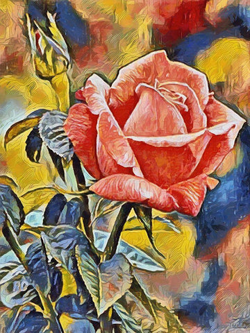 Red Rose White Modern Wood Framed Art Print with Double Matting by Medeiros, Celito