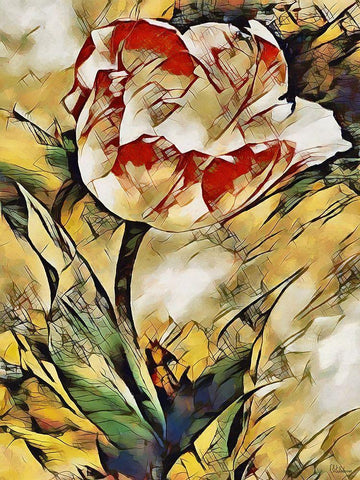 Tulip other way Black Ornate Wood Framed Art Print with Double Matting by Medeiros, Celito