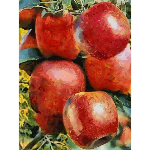 Apples Black Modern Wood Framed Art Print with Double Matting by Medeiros, Celito