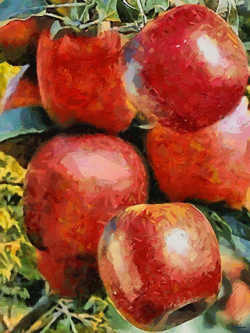 Apples White Modern Wood Framed Art Print with Double Matting by Medeiros, Celito