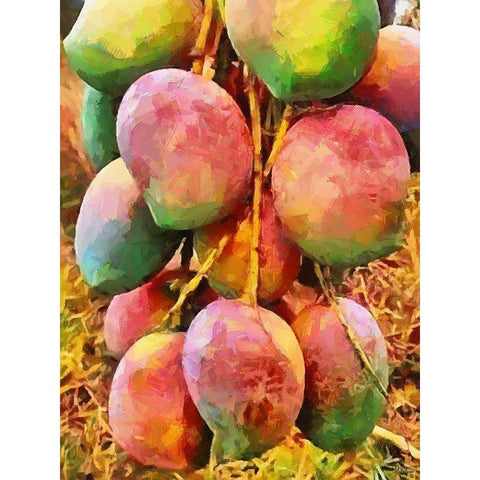 Mango Black Modern Wood Framed Art Print by Medeiros, Celito