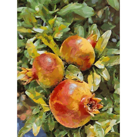 Pomegranate II White Modern Wood Framed Art Print by Medeiros, Celito