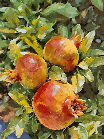 Pomegranate II White Modern Wood Framed Art Print with Double Matting by Medeiros, Celito