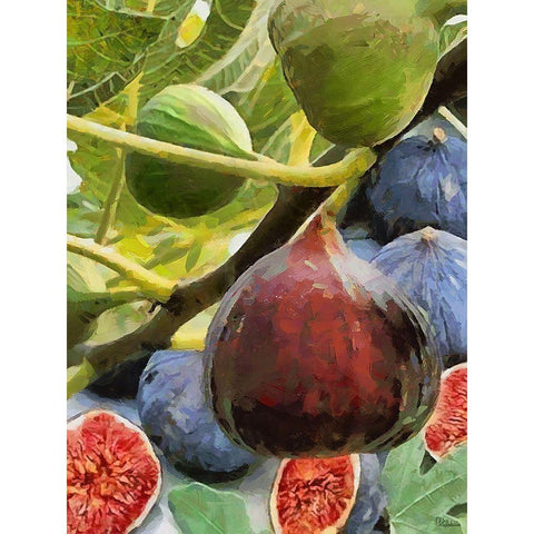 Figs White Modern Wood Framed Art Print by Medeiros, Celito