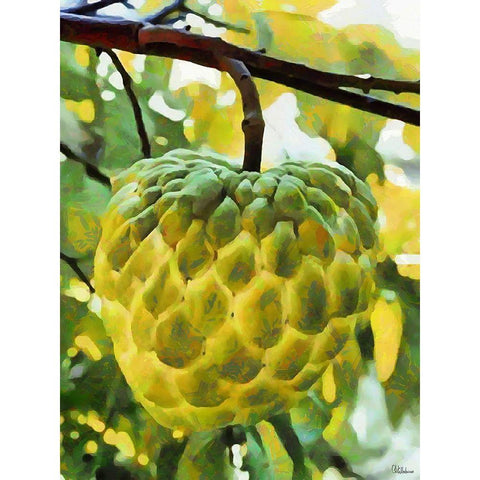 Tropical Fruit I Gold Ornate Wood Framed Art Print with Double Matting by Medeiros, Celito