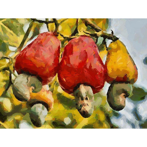 Tropical Fruit II White Modern Wood Framed Art Print by Medeiros, Celito