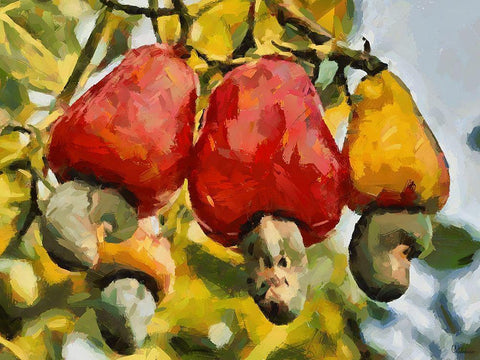 Tropical Fruit II Black Ornate Wood Framed Art Print with Double Matting by Medeiros, Celito