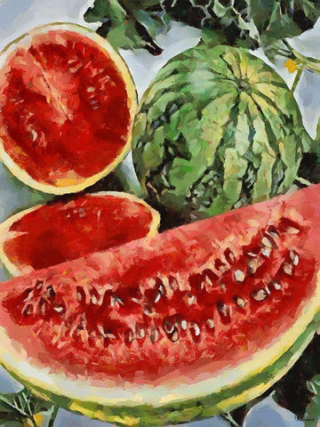 Water Melon Black Ornate Wood Framed Art Print with Double Matting by Medeiros, Celito