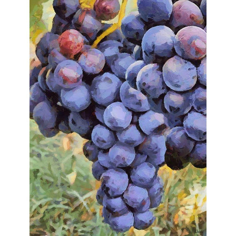 Grapes Black Modern Wood Framed Art Print with Double Matting by Medeiros, Celito