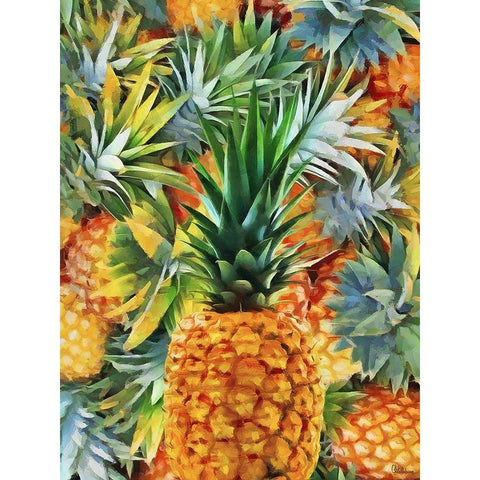 Pineapple Black Modern Wood Framed Art Print with Double Matting by Medeiros, Celito