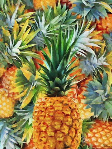 Pineapple Black Ornate Wood Framed Art Print with Double Matting by Medeiros, Celito