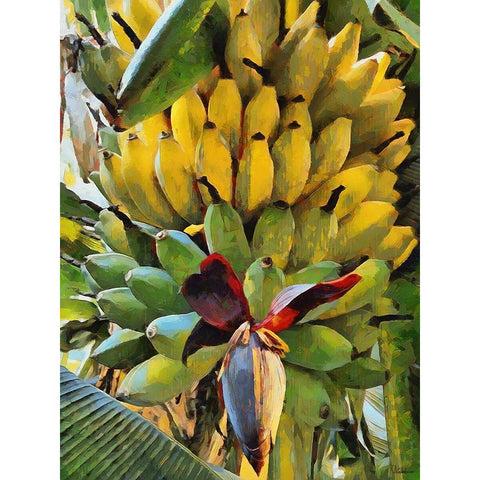 Banana White Modern Wood Framed Art Print by Medeiros, Celito