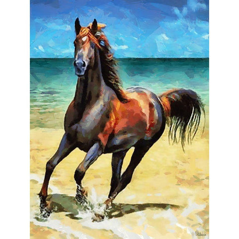 Horse on the Beach Black Modern Wood Framed Art Print with Double Matting by Medeiros, Celito