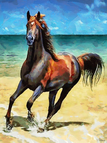 Horse on the Beach Black Ornate Wood Framed Art Print with Double Matting by Medeiros, Celito