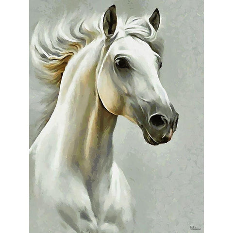 White Horse Black Modern Wood Framed Art Print with Double Matting by Medeiros, Celito