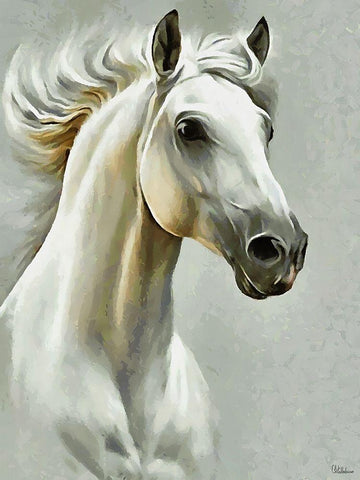 White Horse White Modern Wood Framed Art Print with Double Matting by Medeiros, Celito