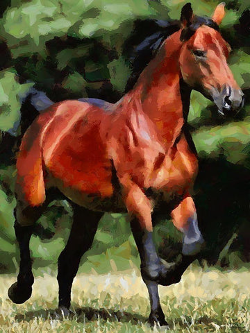 Running Brown Horse Black Ornate Wood Framed Art Print with Double Matting by Medeiros, Celito