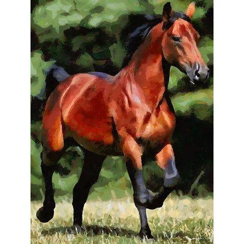 Running Brown Horse Black Modern Wood Framed Art Print with Double Matting by Medeiros, Celito