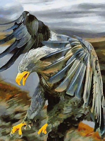 The Eagle is Attacking Black Ornate Wood Framed Art Print with Double Matting by Medeiros, Celito