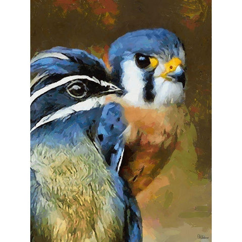Two Blue Birds Black Modern Wood Framed Art Print with Double Matting by Medeiros, Celito
