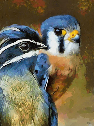 Two Blue Birds Black Ornate Wood Framed Art Print with Double Matting by Medeiros, Celito