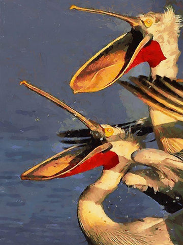 Two Pelicans White Modern Wood Framed Art Print with Double Matting by Medeiros, Celito