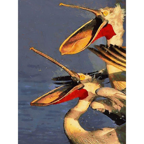 Two Pelicans Black Modern Wood Framed Art Print by Medeiros, Celito