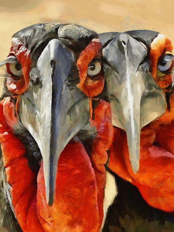 Two Red Turkey Black Ornate Wood Framed Art Print with Double Matting by Medeiros, Celito