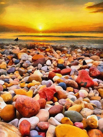 Pebbles by the Sea Black Ornate Wood Framed Art Print with Double Matting by Medeiros, Celito