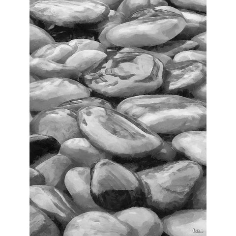 Pebbles BW White Modern Wood Framed Art Print by Medeiros, Celito