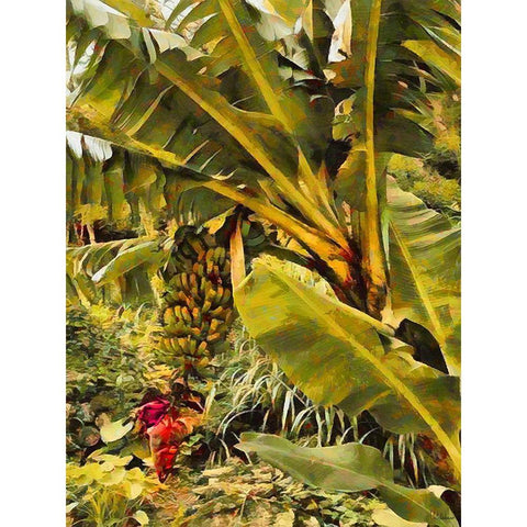 Banana Tree I Gold Ornate Wood Framed Art Print with Double Matting by Medeiros, Celito