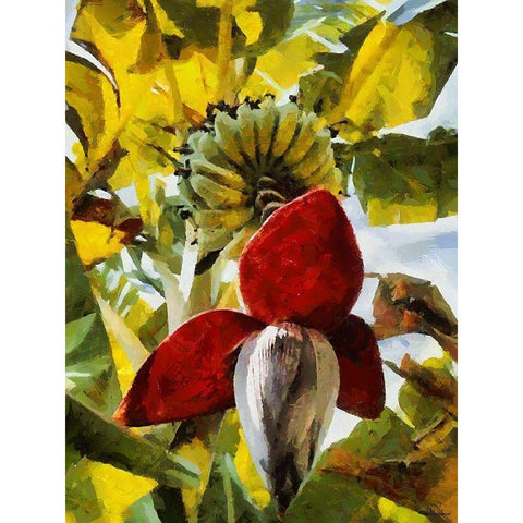 Banana Tree III White Modern Wood Framed Art Print by Medeiros, Celito