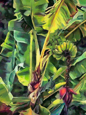 Banana Tree IV White Modern Wood Framed Art Print with Double Matting by Medeiros, Celito