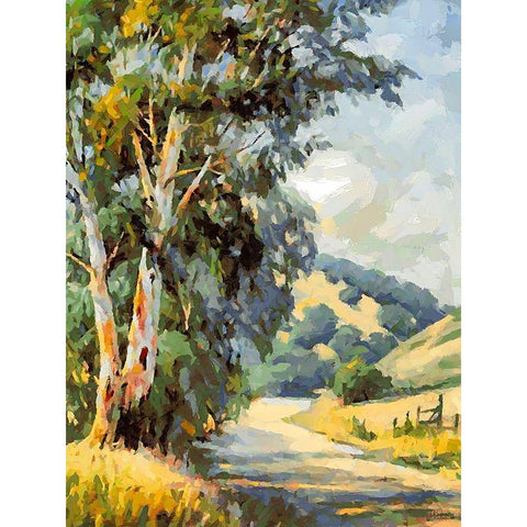 Country Way Black Modern Wood Framed Art Print with Double Matting by Medeiros, Celito
