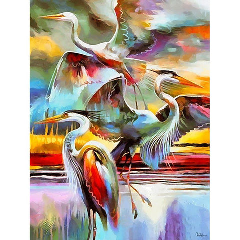 Fly Flamingo I Black Modern Wood Framed Art Print with Double Matting by Medeiros, Celito