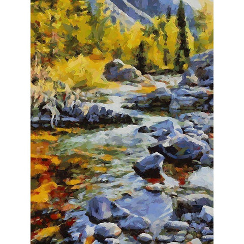 Stream in Autumn II Black Modern Wood Framed Art Print with Double Matting by Medeiros, Celito