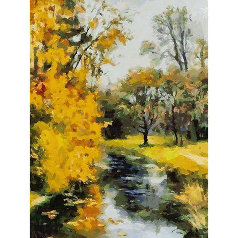 Stream in Autumn VI Black Modern Wood Framed Art Print by Medeiros, Celito