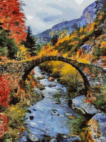 Stream in Autumn VII Black Ornate Wood Framed Art Print with Double Matting by Medeiros, Celito