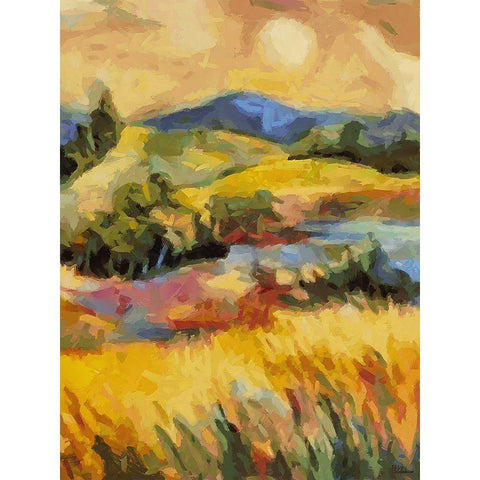 Countryside Sunset Black Modern Wood Framed Art Print with Double Matting by Medeiros, Celito