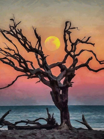 Dry Tree on the Beach White Modern Wood Framed Art Print with Double Matting by Medeiros, Celito