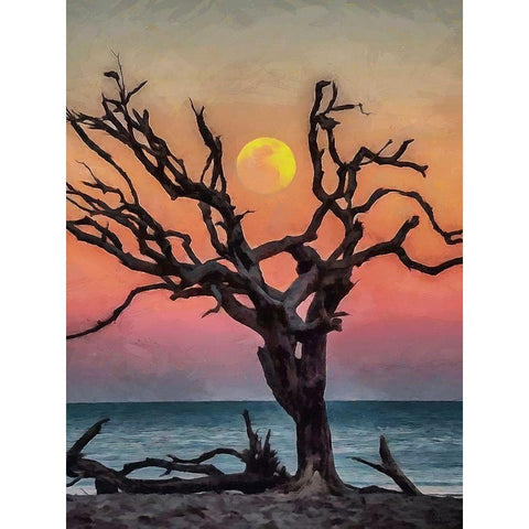 Dry Tree on the Beach Black Modern Wood Framed Art Print by Medeiros, Celito