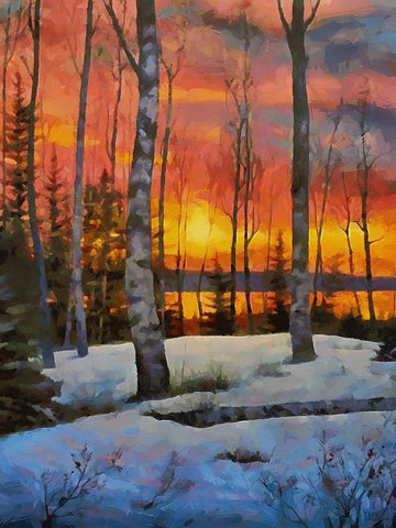 Sunseet in Winter Black Ornate Wood Framed Art Print with Double Matting by Medeiros, Celito