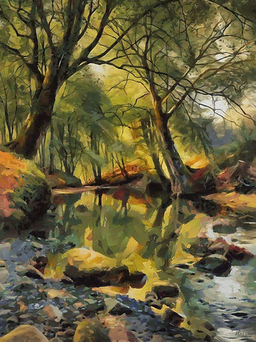 Stream in Summer Black Ornate Wood Framed Art Print with Double Matting by Medeiros, Celito