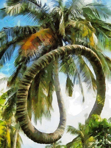 Crazy Palm Tree Black Ornate Wood Framed Art Print with Double Matting by Medeiros, Celito