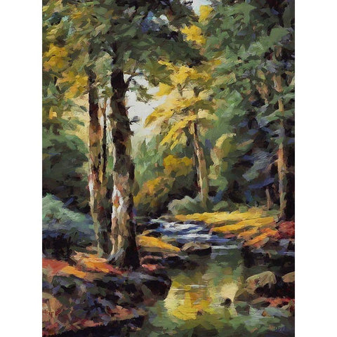 Summer Stream I Black Modern Wood Framed Art Print with Double Matting by Medeiros, Celito