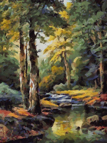 Summer Stream I Black Ornate Wood Framed Art Print with Double Matting by Medeiros, Celito